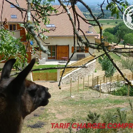 Maison Cosy Avec Spa, Sauna Et Lamas A Proximite De Roanne - Fr-1-496-23 *