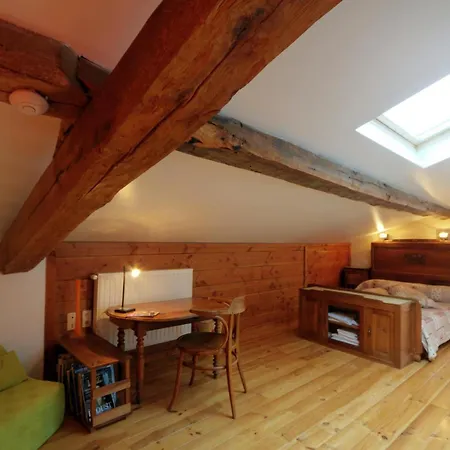 Apartment Maison Cosy Avec Spa, Sauna Et Lamas A Proximite De Roanne - Fr-1-496-23