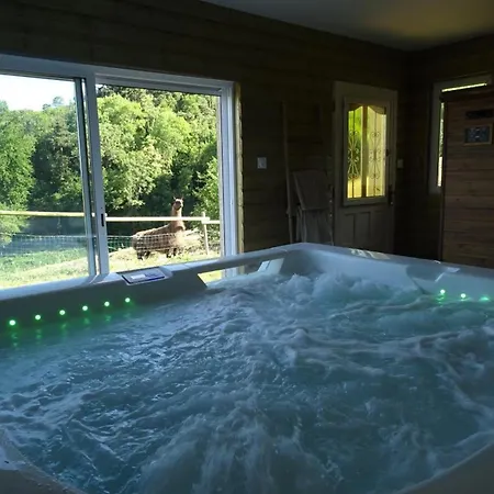 Maison Cosy Avec Spa, Sauna Et Lamas A Proximite De Roanne - Fr-1-496-23 Apartment Saint-Andre-d'Apchon