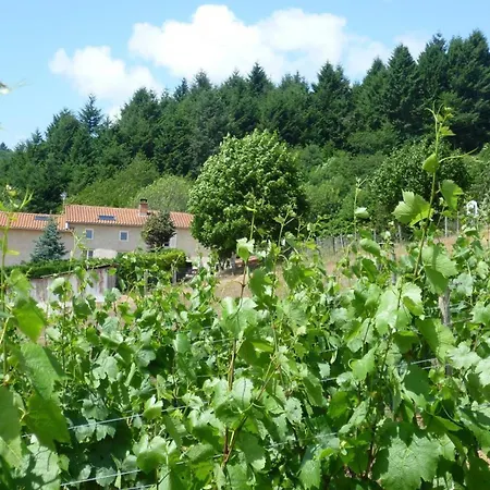 Maison Cosy Avec Spa, Sauna Et Lamas A Proximite De Roanne - Fr-1-496-23 * Saint-Andre-d'Apchon